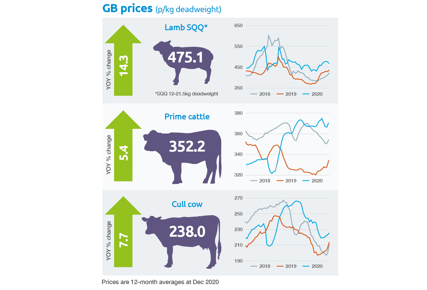 Beef Market Outlook Ahdb